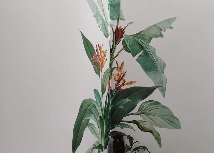 Alloggio in famiglia Bideartean, Caserío Vasco, Recién Reformado *