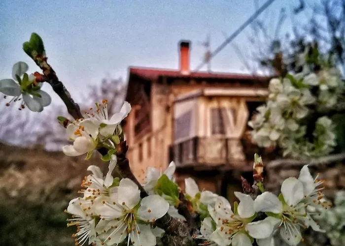 Bideartean, Caserío Vasco, Recién Reformado Alloggio in famiglia