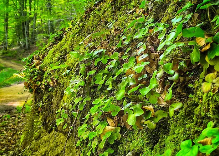 Bideartean, Caserío Vasco, Recién Reformado Alloggio in famiglia
